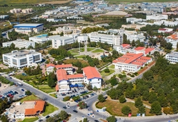Бакалавриат Восточно-Средиземноморского Университета (EMU)