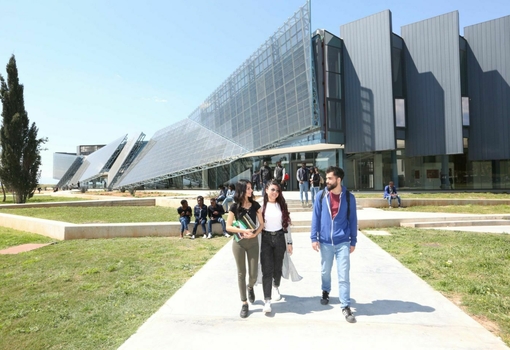 phd programs in cyprus international university